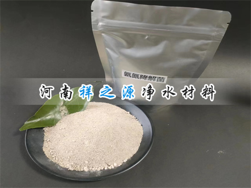 氨氮降解菌 氨氮降解菌